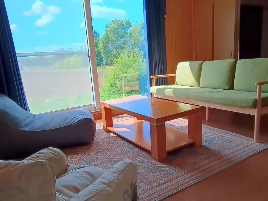 Living room with green sofa and natural light