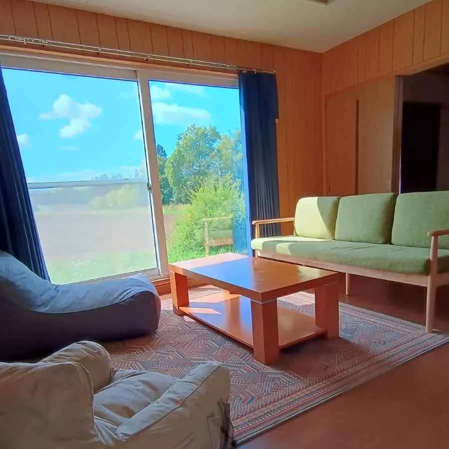 Living room with green sofa, beanbag and coffee table